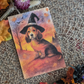 Chien sorcier & ambiance automnale