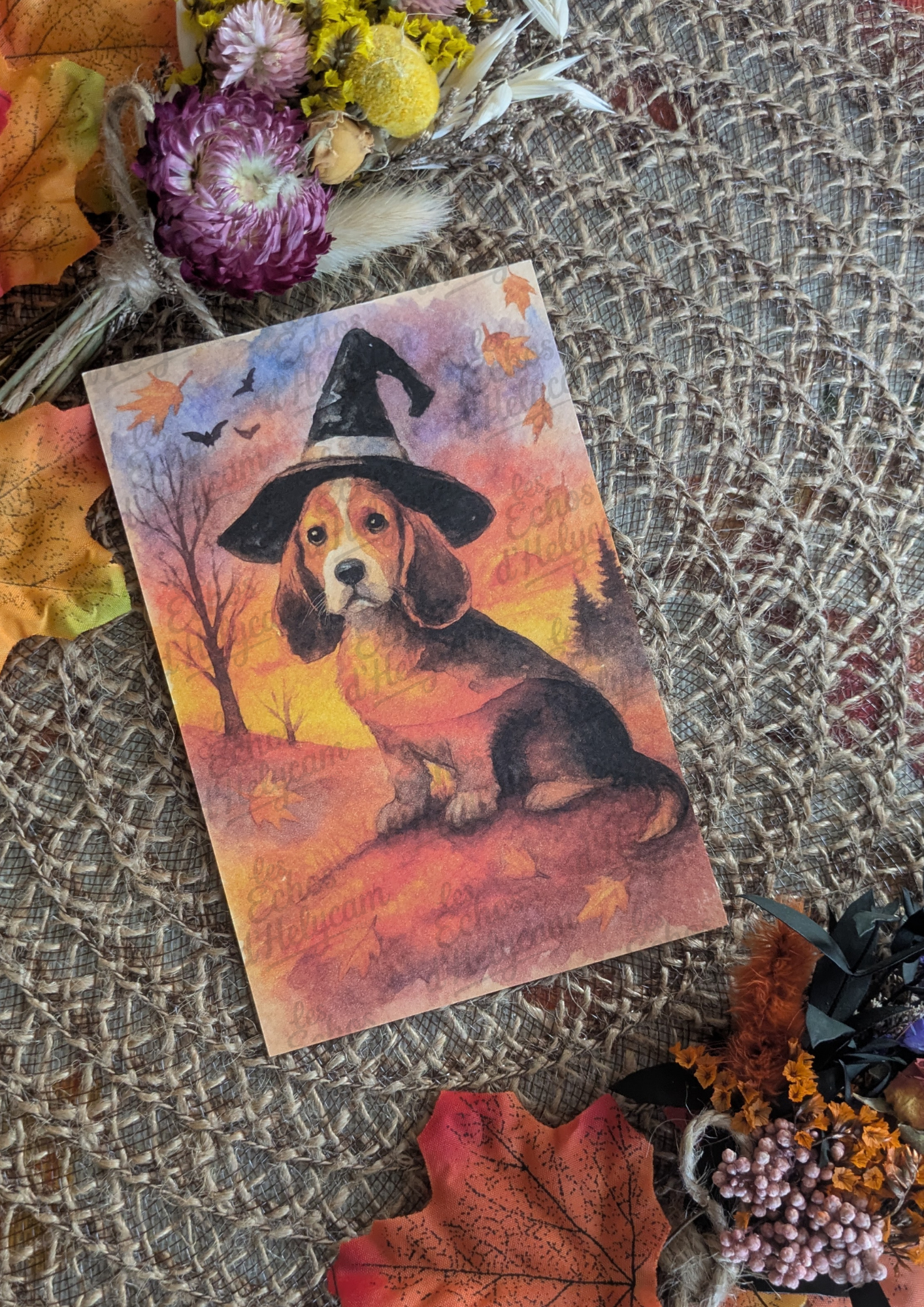 Chien sorcier & ambiance automnale
