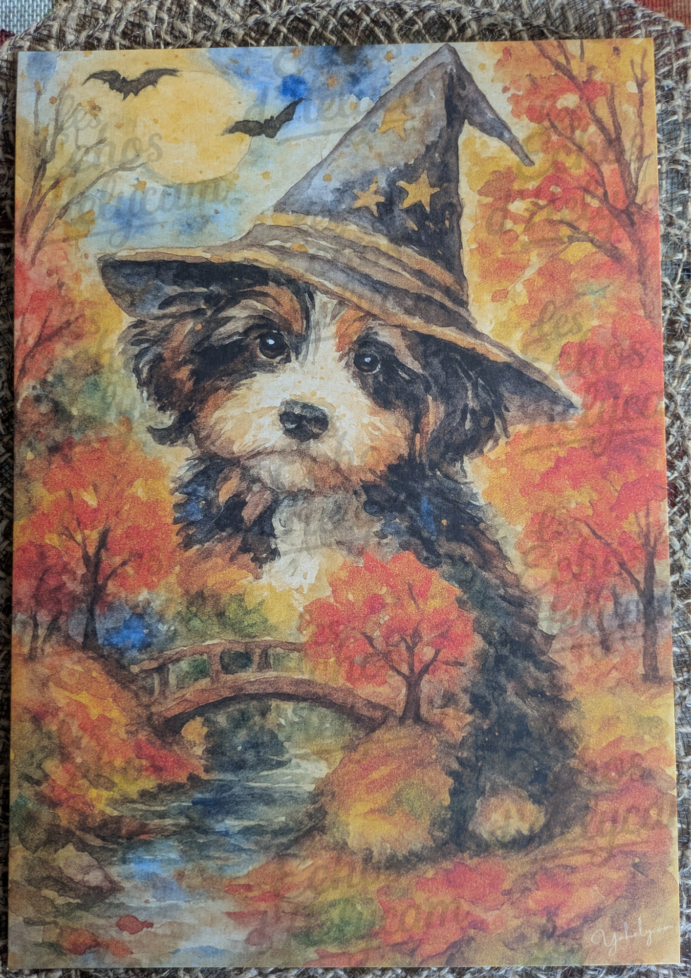Chien sorcier & ambiance automnale