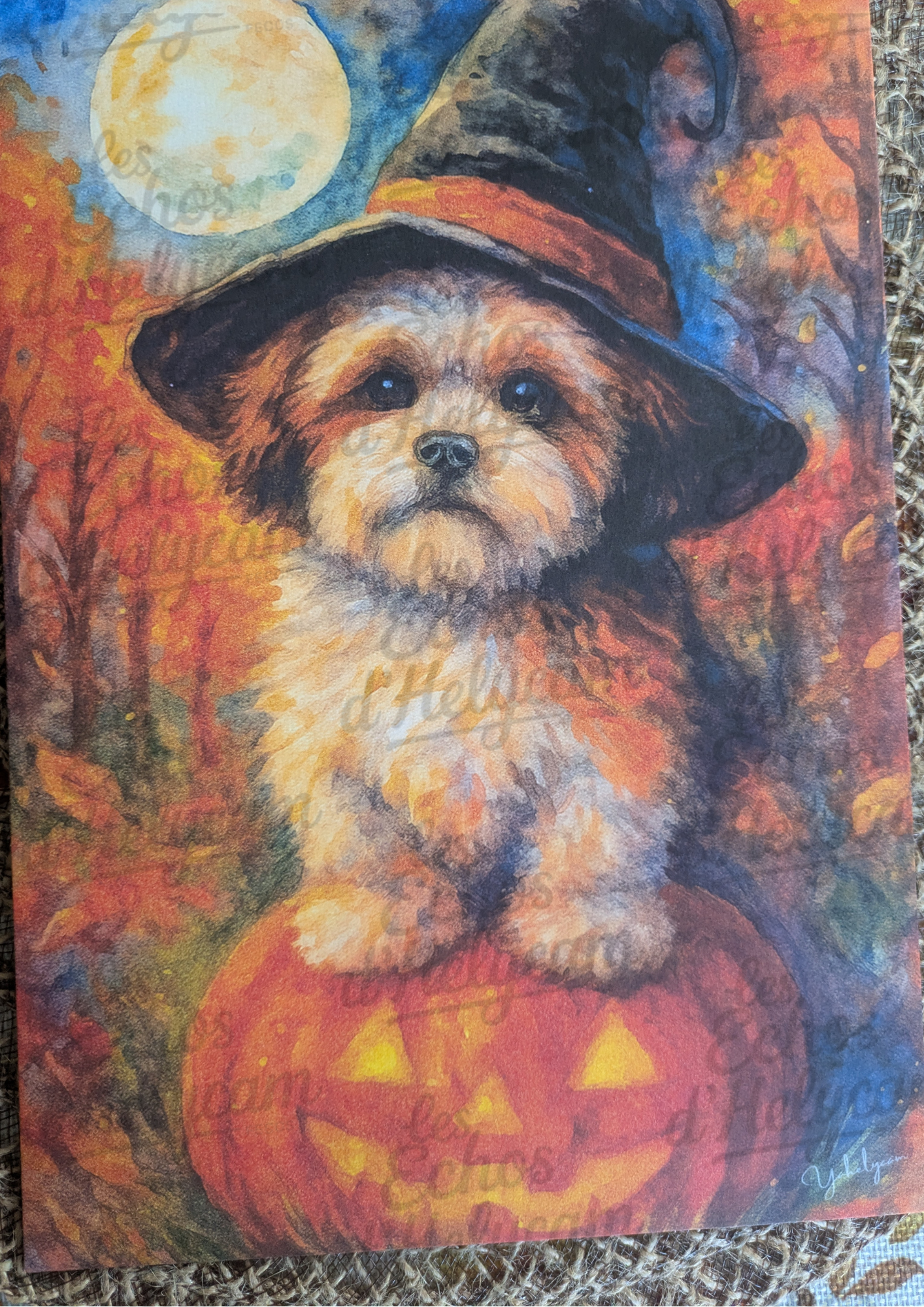 Chien sorcier & ambiance automnale