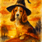 Chien sorcier & ambiance automnale