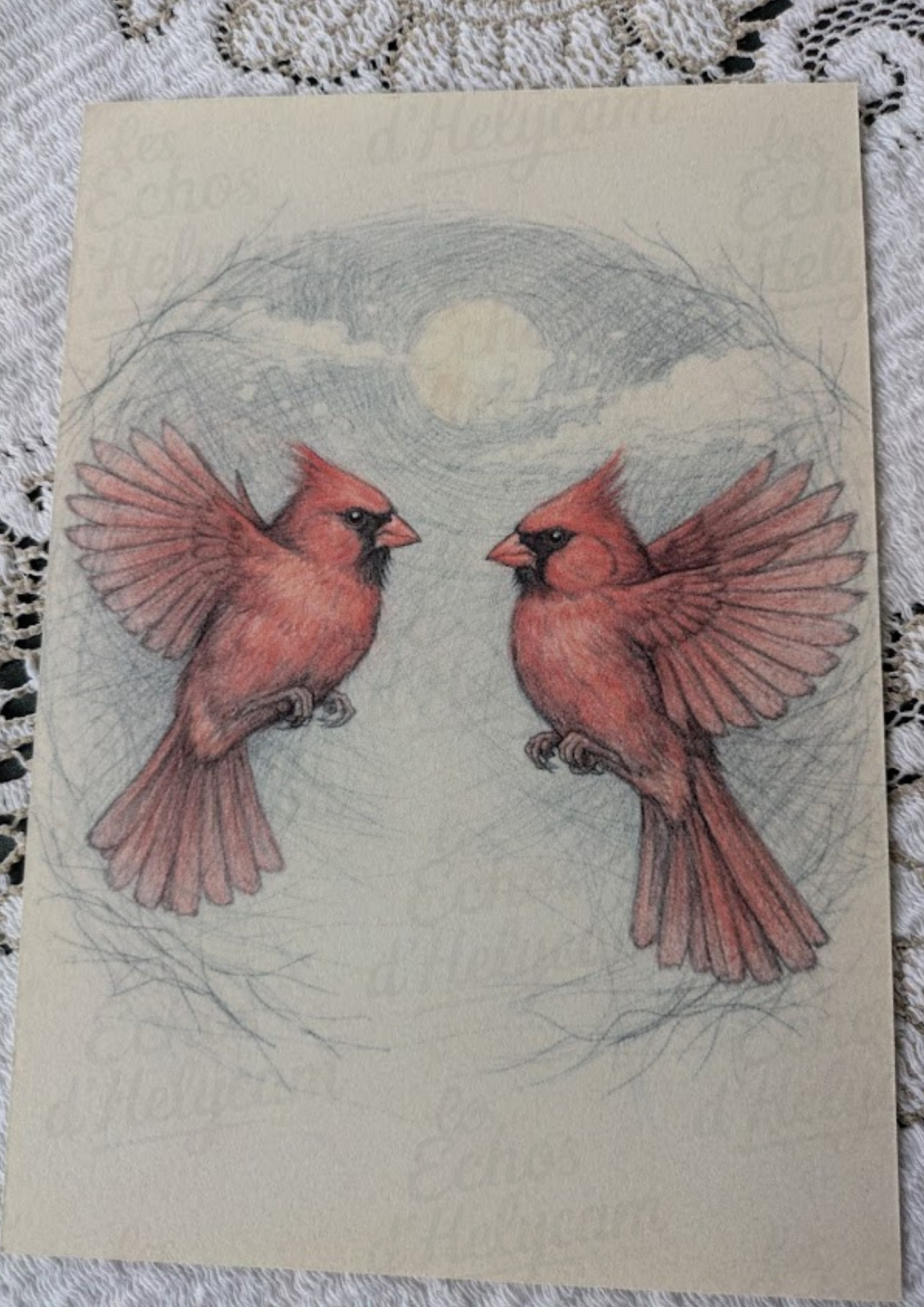 Oiseaux d’hiver – Illustrations A5