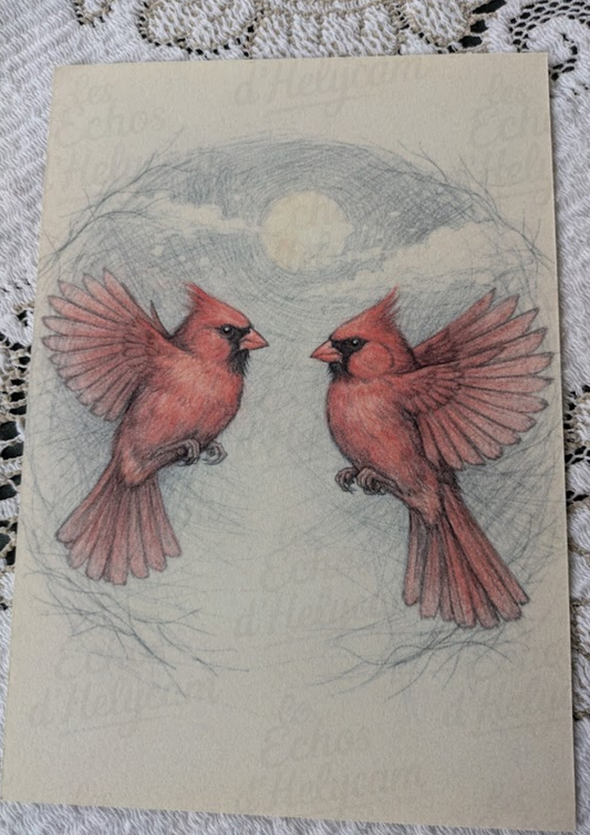 Oiseaux d’hiver – Illustrations A5