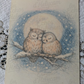 Oiseaux d’hiver – Illustrations A5