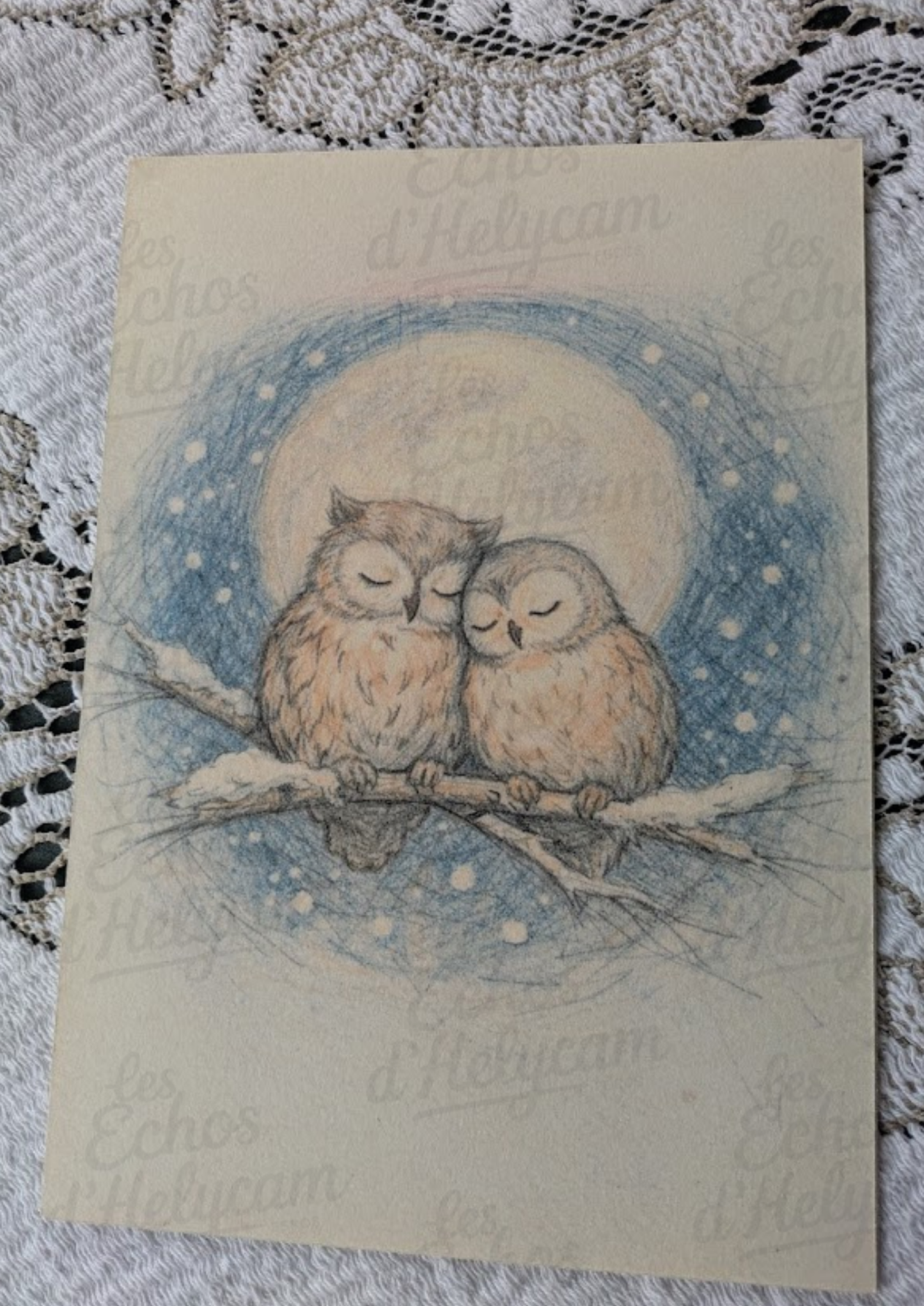 Oiseaux d’hiver – Illustrations A5